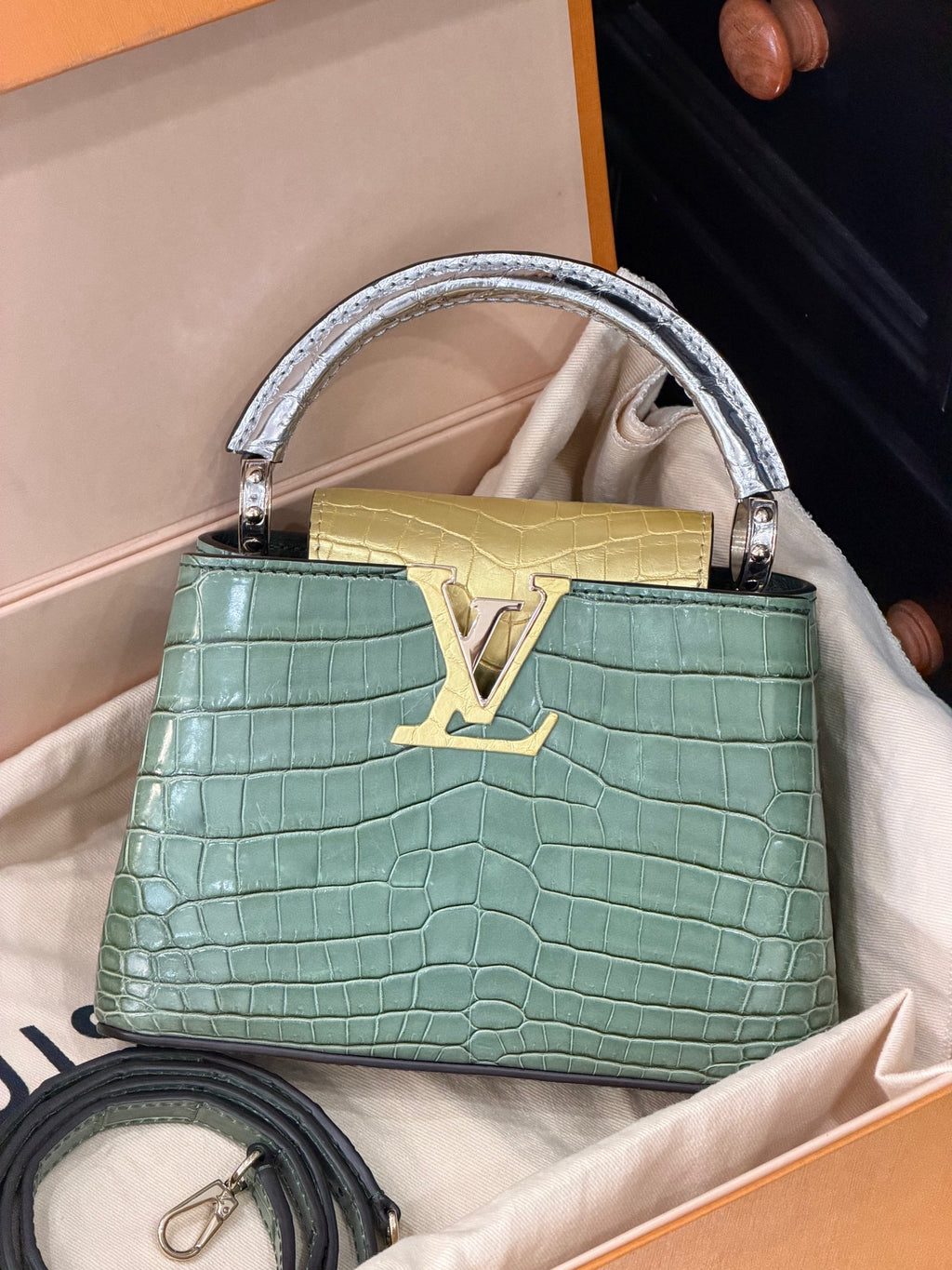 Louis Vuitton Tricolor Crocodile Capucines Mini 2-Way Handbag
