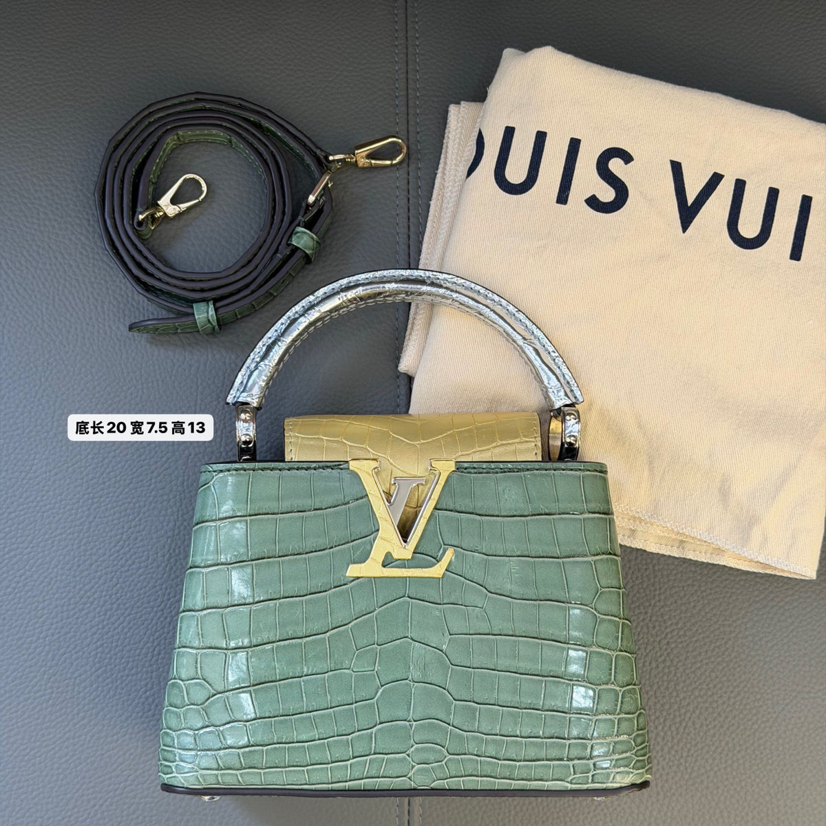Louis Vuitton Tricolor Crocodile Capucines Mini 2-Way Handbag