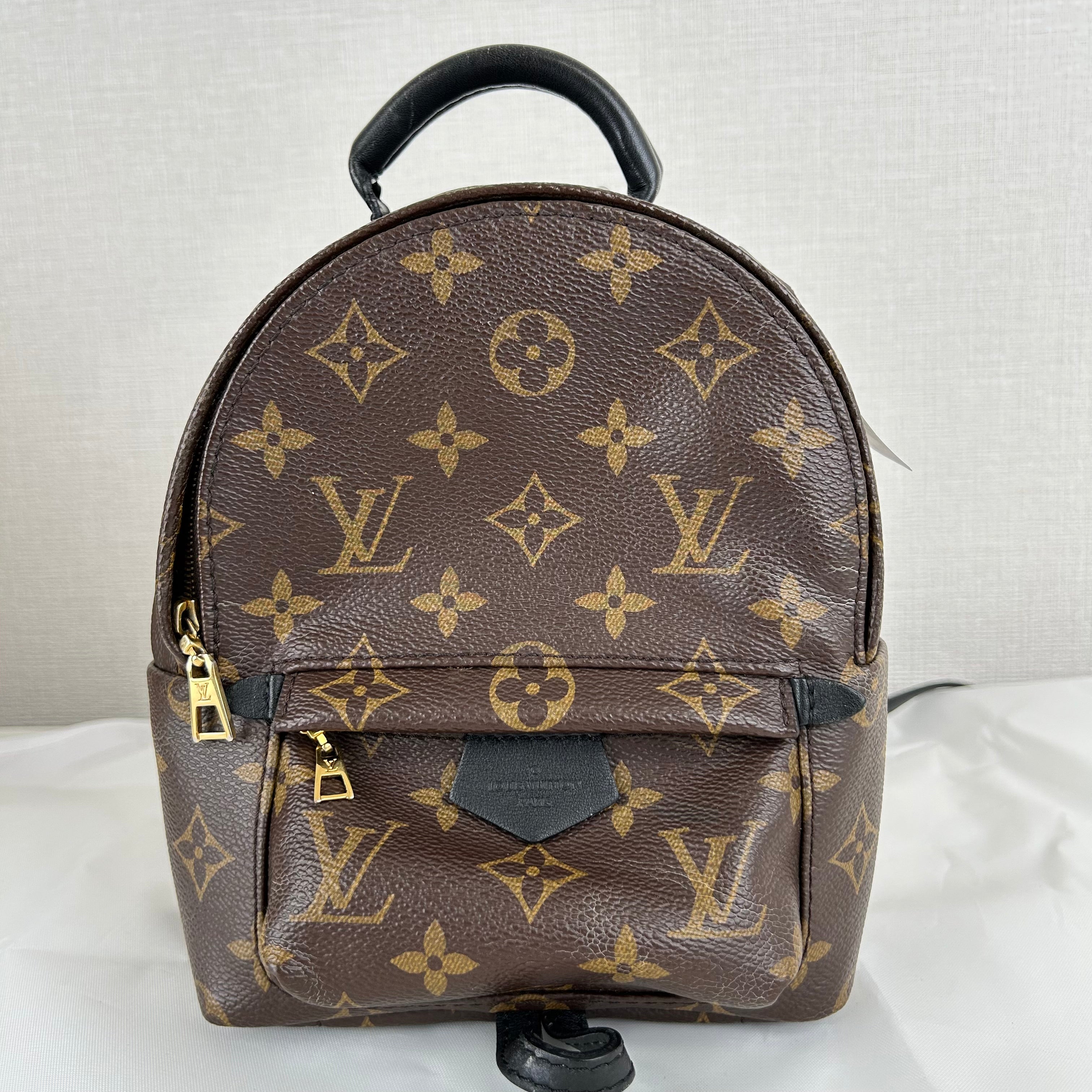 Louis Vuitton Palm Springs Monogram Backpack M41560