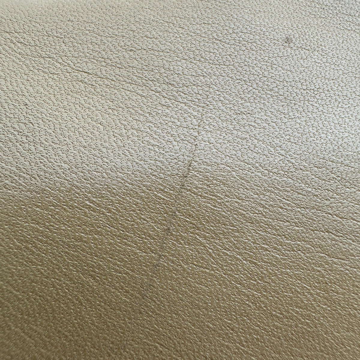 Loewe Anagram Lambskin Beige Chain Shoulder Bag
