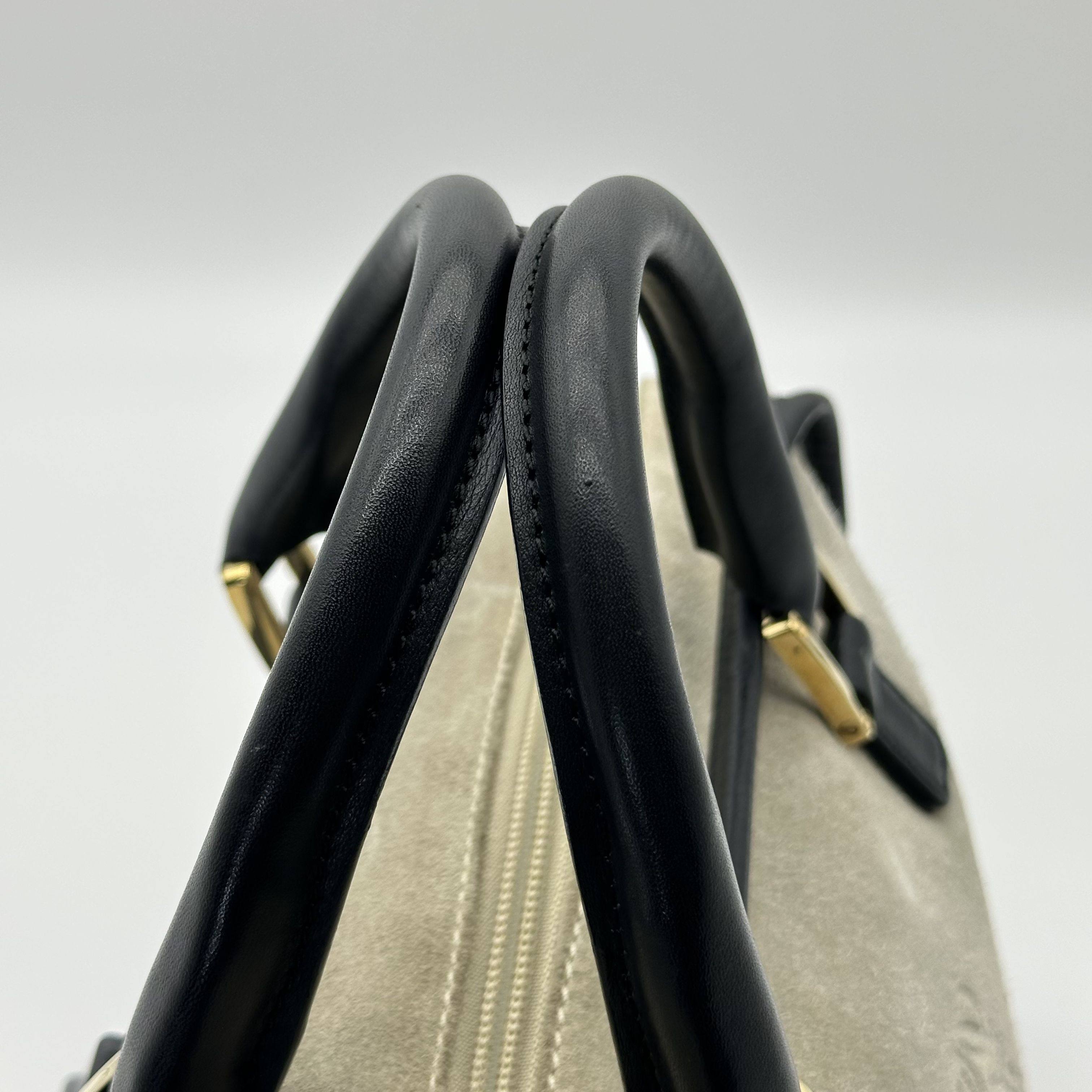 Loewe Amazona 28 Anagram Logo Suede Leather Boston Handbag