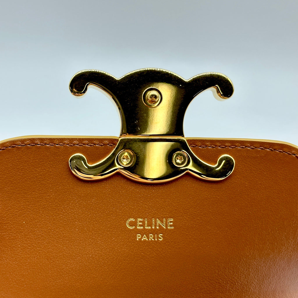 Celine Triomphe Canvas Mini Claude Brown Shoulder Bag