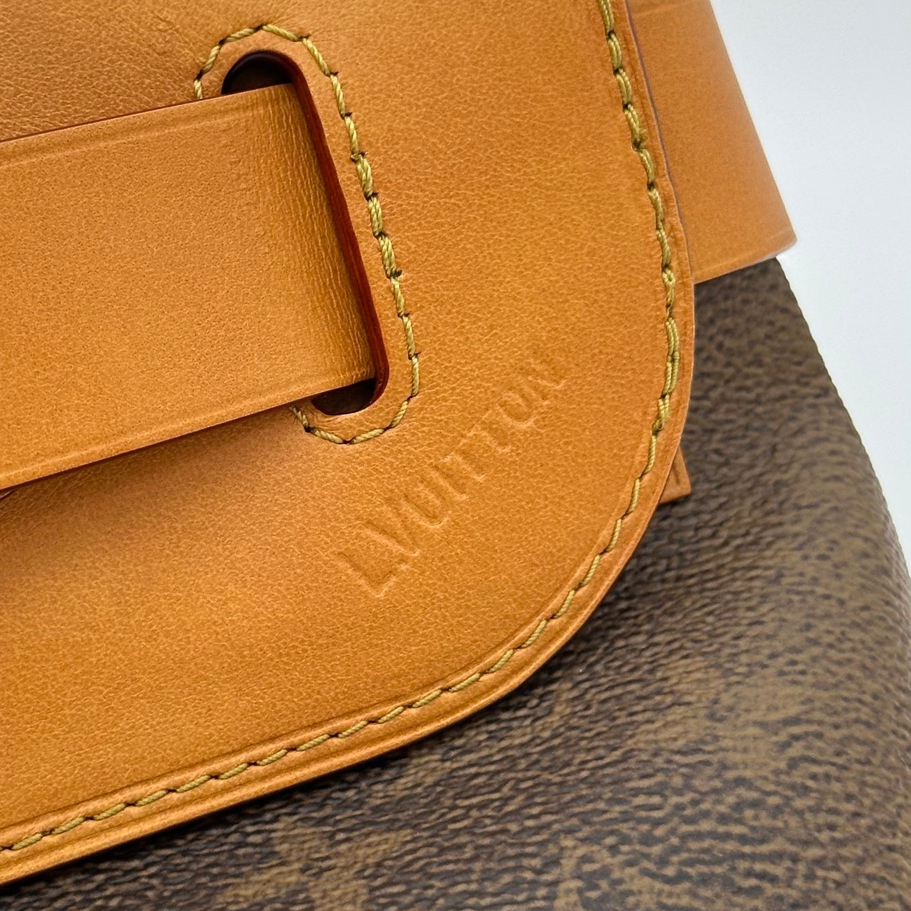 Louis Vuitton Steamer Crossbody Monogram Dust Shoulder Bag M11533
