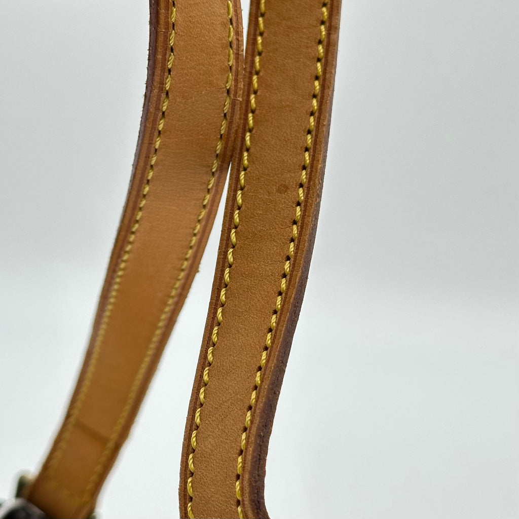 Louis Vuitton Monogram Trotter M51240 Shoulder Bag