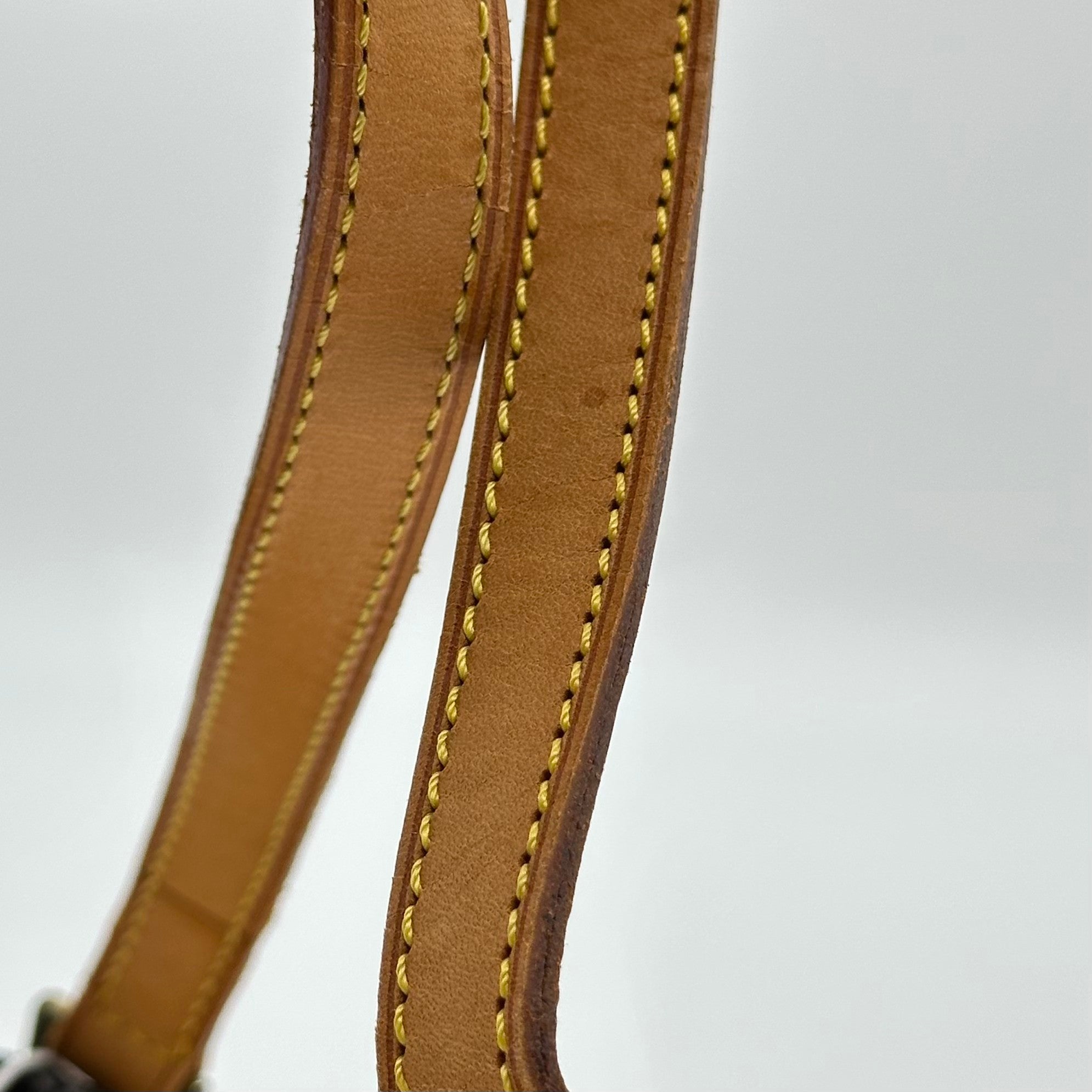 Louis Vuitton Monogram Trotter M51240 Shoulder Bag