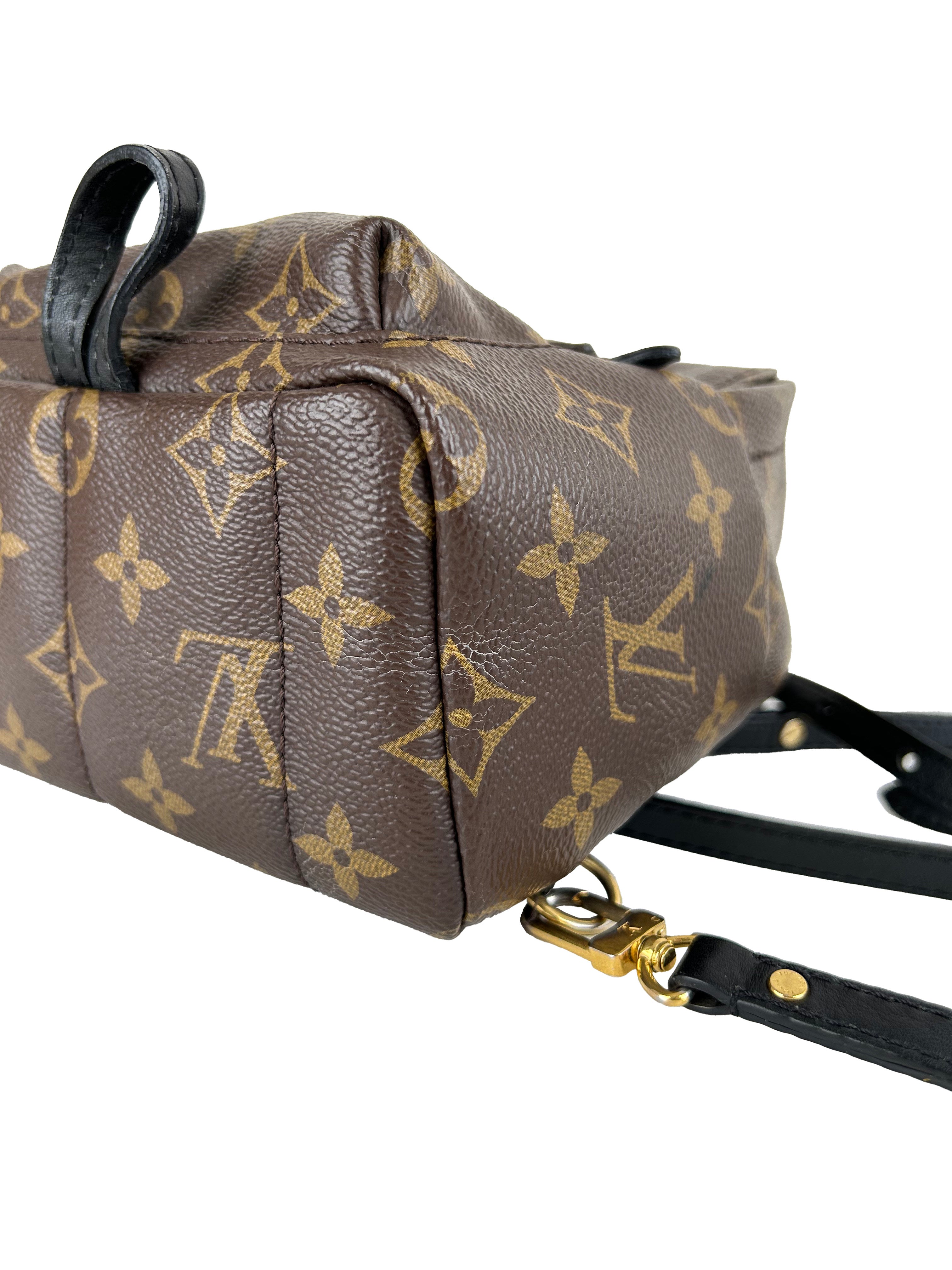루이비통 팜스프링스 모노그램 백팩 M41560