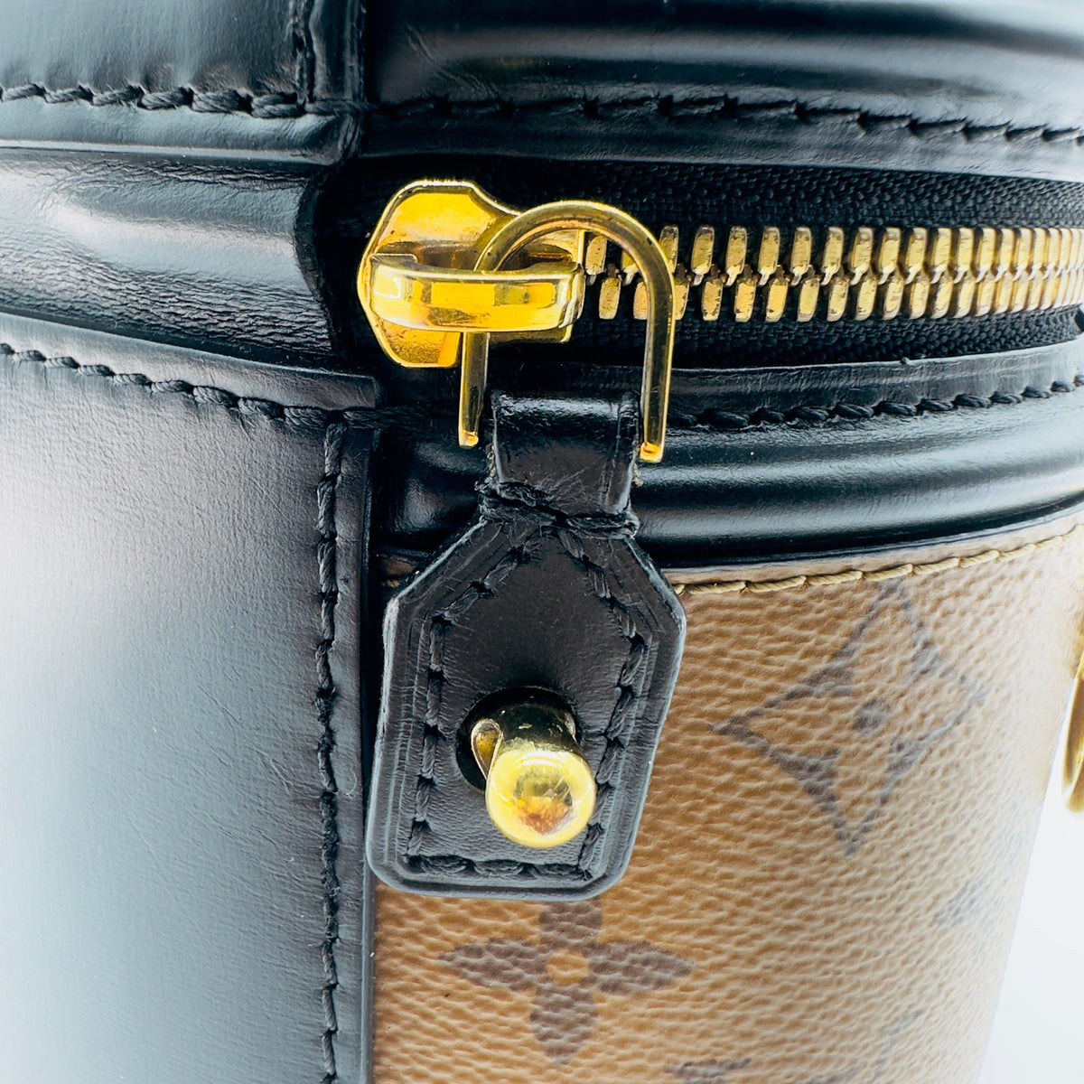 Louis Vuitton Monogram Reverse Coated Canvas Cannes 15cm Brown and Black Vanity Bag