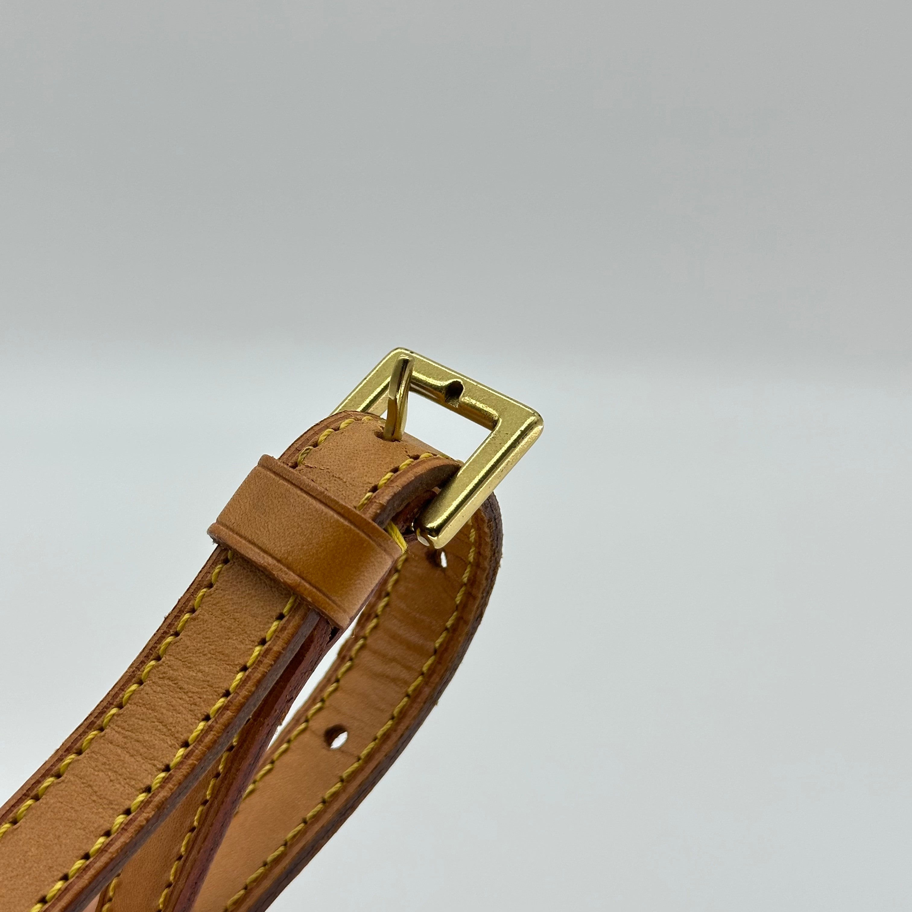 Louis Vuitton Monogram Trotter M51240 Shoulder Bag